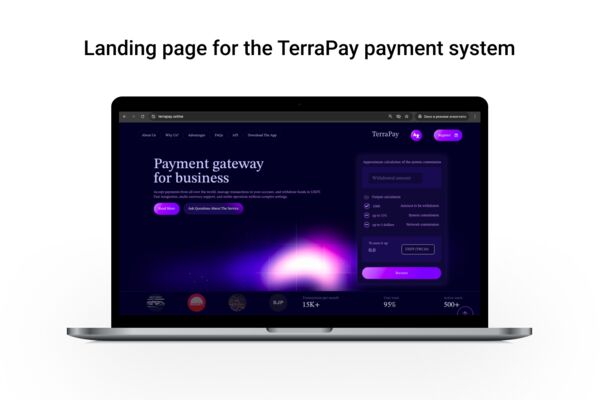 TerraPay1.png