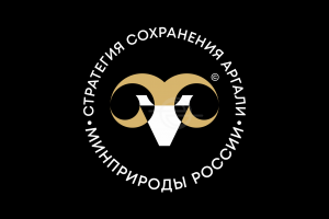 Стратегия сохранения аргали | Минприроды РФ