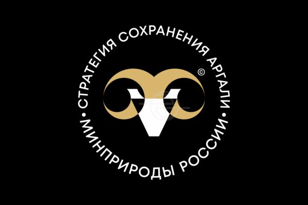 архар - Edoudesign © 2026 - на темном.png