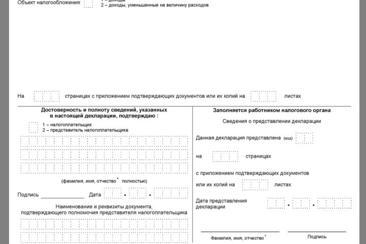 Декларация по УСН Дозоды без работников