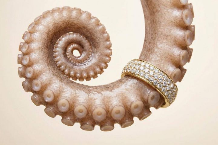 Ai-креатор: фото, видео, тексты с помощью нейросетей