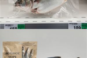 ВОЛЬНОЕ МОРЕ (2)