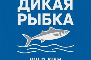 SH6el4ouZEF3DiX4qIafwno6Xg-82N9xMA7Uizmf-P758n2Vd9721f-oy-SLRcsq