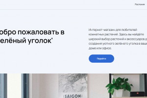 Дизайн сайта для интернет магазина комнатных растений