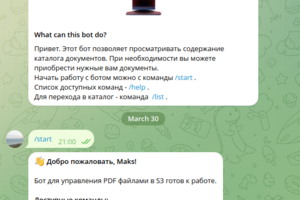 Телеграм бот управления файлами в системе хранения S3