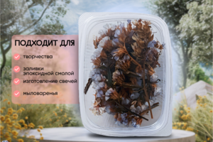 Карточки товаров для маркетплейсов
