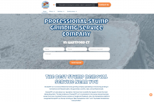 Лендинг страница. Компания по профессиональному удалению пней в США.