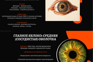 Презентации