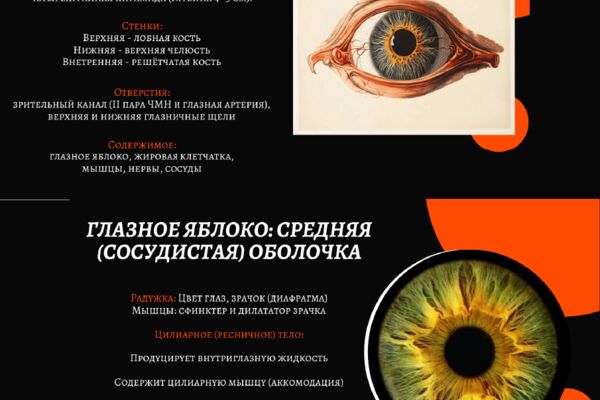 Ресурс 10.png