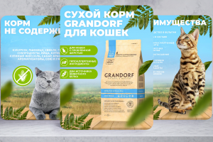 Дизайн карточек товара для Wildberries (сухой корм Grandorf)
