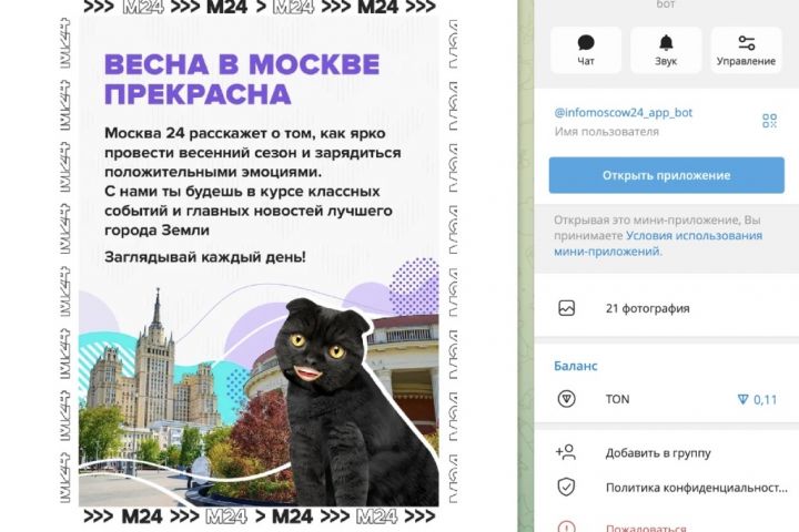 MiniApp - ������ 24