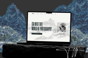 Дизайн-концепция Landing page в Figma | Разработка Logo