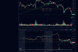 ProTrade Journal — платформа для симуляции и анализа торговли на исторических данных