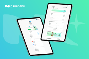 Система учета финансов Monene