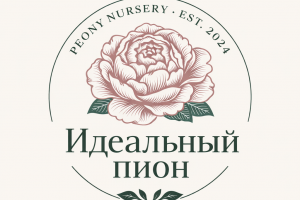 Разработка Логотипа "Идеальный пион"
