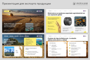 Экспортный проект (Латинская Америка)