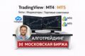 разработка торговых роботов, индикаторов и стратегий для TradingView, MT4 и MT5