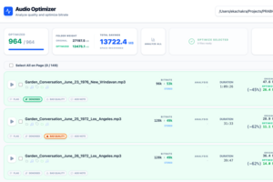 Audio Optimiser (Denoise)