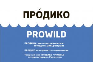 Продико
