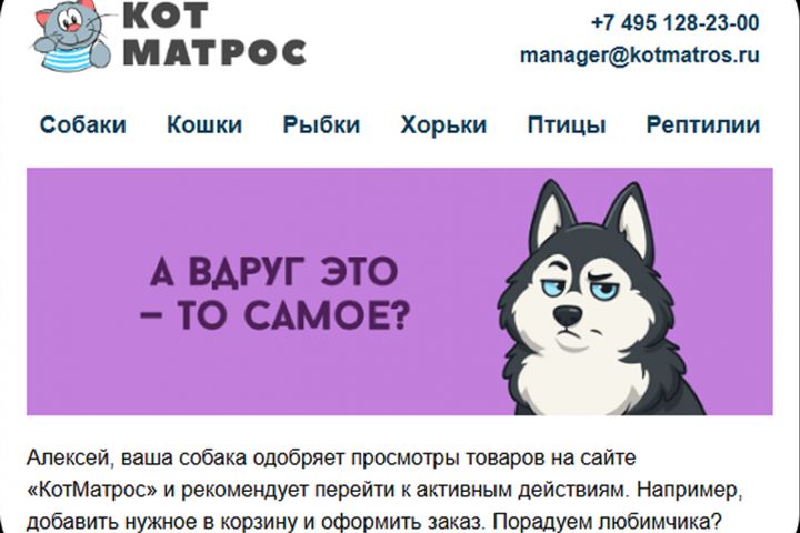 Создание email-рассылки - 5717503