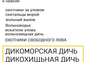 2026-04-10_17-49-04