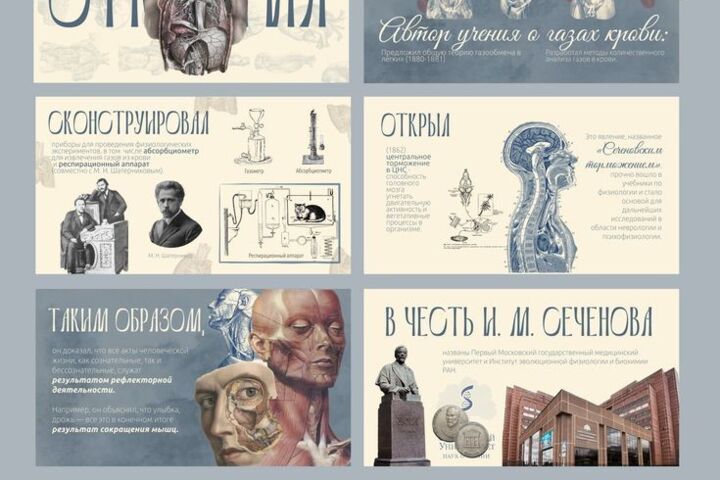 Создание презентаций, докладов, проектов для школьников и студентов.