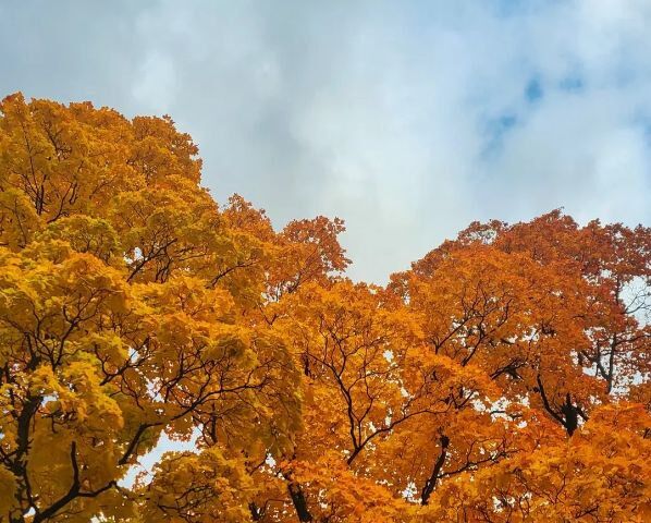 Обработка фото