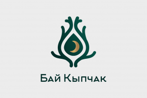 Разработка логотипа, фирменного стиля и серии упаковок для компании Бай Кыпчак