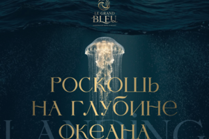 Лендинг для подводного отеля