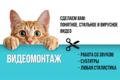 Монтаж видео