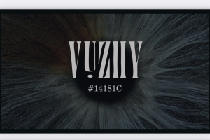 Визитка бренда VUZHY