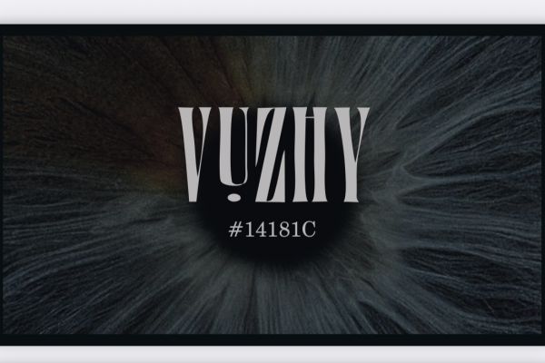 Визитка бренда VUZHY