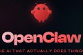 Настройка и поддержка OpenClaw