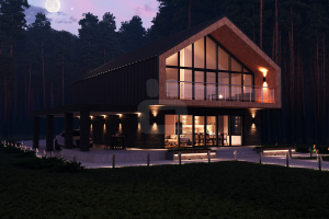 3D-визуализация дома Burn