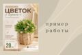 Карточки маркетплейсов WB/OZON