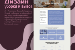 Редизайн сервиса по вывозу мусора (Испания)