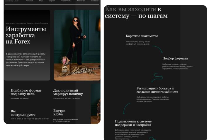 Лендинг на Tilda — базовая сборка под заявку - 5727304