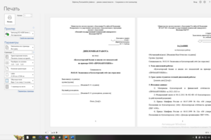 Дипломная работа