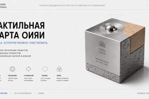 О заказчике: Объединенный институт ядерных исследований (ОИЯИ) — международная научно-исследовательская организация, объединяющая учёных из более чем десяти стран.