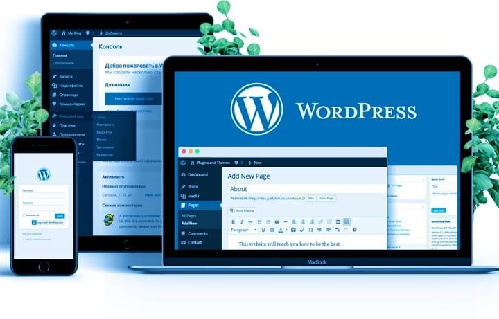 Создание сайта на WordPress: от верстки макета до готового проекта