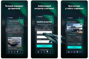 Мобильное приложение и сайт для бронирования судна