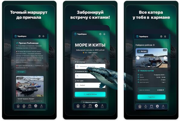 Снимок экрана 2026-05-07 в 11.37.14.png