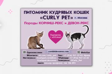 Вложение 