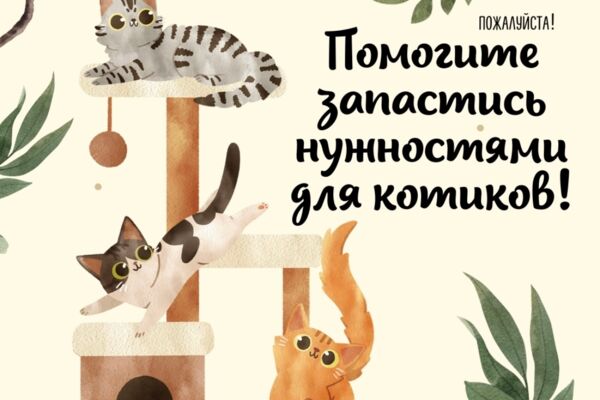 Посты для приютов с животными и зоомагазина