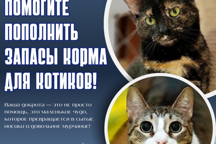 Контент для соцсетей, рекламы и проектов - 5730362