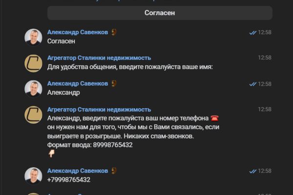 Чат с ботом.png
