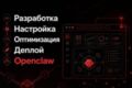Разработка, настройка, подключение и оптимизация OpenClaw / Claude Code