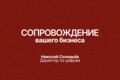 Сопровождение директора по цифрам