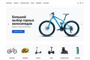 ОТРАСЛЕВОЙ ИНТЕРНЕТ-МАГАЗИН ТОВАРОВ ДЛЯ СПОРТА И ОТДЫХА