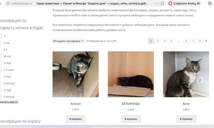 Многостраничный сайт-визитка - 5733172
